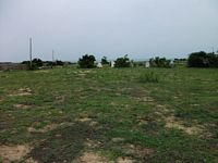 bg view